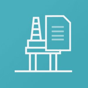 Well Integrity Management